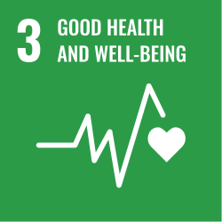 Logo for UN Sustainable Development SDG 3: Good Health and Well Being